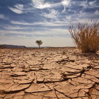 Entre os países afetados pelas secas mais longas do mundo no futuro, a França. © Cinoby, iStock
