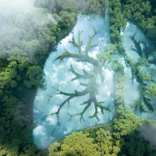 A captura e o sequestro de carbono são possíveis, mas continuam a ser difíceis e dispendiosos. © Petmal, iStock