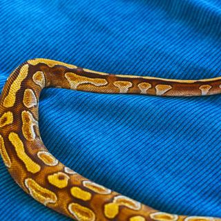 ce qu’elle a trouvé dans son siphon va vous choquer. ©&nbsp;rachasuk,&nbsp;iStock