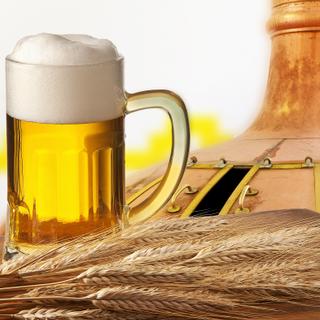 La recette de bière chinoise utilisée à Mijiaya a plus de 5.000 ans et comprenait déjà de l’orge. © Vaclav Mach, Shutterstock