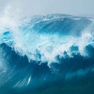 Le réseau de sondes autonomes Argo célèbre ses quinze ans d&#39;observation des océans. © Tamara Kulikova, Shutterstock