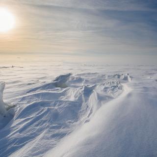 La Terre dans moins d'un million d'années. © Fotolia river34