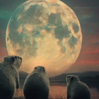 La super Lune annoncée en ce début novembre sera-t-elle aussi spectaculaire que promis ? © XD avec ChatGPT