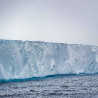 Les icebergs tabulaires de la mer de Weddell, immenses plaques de glace aux contours presque rectilignes, dérivent lentement dans cet environnement polaire extrême. Leur majesté silencieuse illustre la puissance et la fragilité des glaces antarctiques. Mer de Weddell. © Thierry Suzan – Tous droits réservés