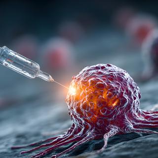 A forma como as células morrem pode despertar o sistema imunológico e tornar-se a chave contra certos tipos de câncer no sangue. ©Audrey, Adobe Stock