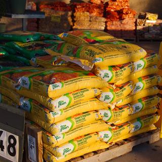 O que está no seu solo está destruindo silenciosamente um dos tesouros mais preciosos da natureza. © Del Harper, Adobe Stock