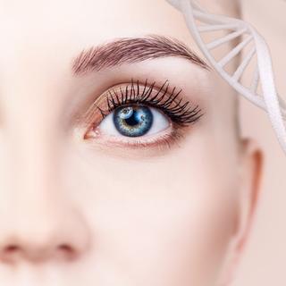 Une thérapie génique innovante pourrait redonner la vue à des patients atteints d’une maladie héréditaire et rare, une pathologie&amp;nbsp;qui conduit brutalement à la cécité. © llhedgehogll, Adobe Stock&amp;nbsp;