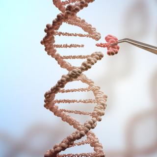 La thérapie génique vise à corriger un gène défaillant. © vchalup, Fotolia