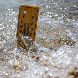 En quelques jours, l'eau de surface près des côtes s'est réchauffée de manière inédite. © juraj, Adobe Stock