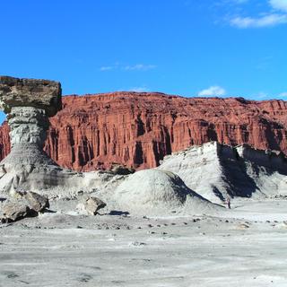 Le parc provincial Ischigualasto, en Argentine, dans la province de San Juan, est particulièrement célèbre pour son excellente conservation de spécimens d'organismes vivants appartenant au Trias tardif. Il offre aux scientifiques un aperçu significatif des évènements ayant mené à un monde dominé par les dinosaures et au développement des mammifères. © M.Bustos, CC&amp;nbsp;by-sa 4.0