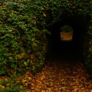 Ce souterrain écossais déroute les archéologues depuis 2 400 ans. ©&nbsp;Ray Bilcliff via Pexels, iStock