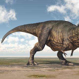 O Tiranossauro rex é um predador formidável do final do período Cretáceo. © Michael Rosskothen, Fotolia