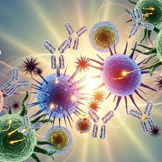 Le syndrome de Lynch est&nbsp;une&nbsp;anomalie génétique, prédisposant à plusieurs cancers, et qui pourrait bientôt être contré par un vaccin innovant. ©&nbsp;FZ, Adobe Stock