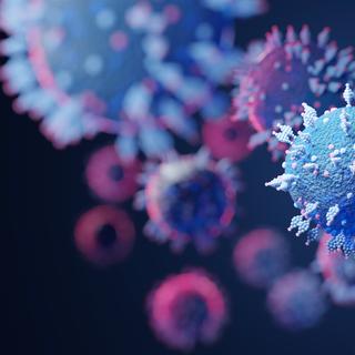 Un sous-variant de la lignée du Delta, AY.4.2, est sous surveillance en Angleterre. © Yingyaipumi, Adobe Stock