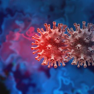 C.1.2 et Mu sont deux nouveaux variants du coronavirus sous surveillance. © freshidea, Adobe Stock