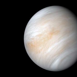 La sonde Mariner 10 de la Nasa a capturé cette image de Vénus. Malgré son apparence calme, cette planète propose un environnement infernal, avec une rotation rétrograde qui étonne les scientifiques. © Nasa
