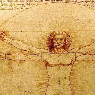 &nbsp;« Aucune certitude n'est possible si l'on ne peut y appliquer une des sciences mathématiques ou qui ne soit unie aux mathématiques ». © Luc Viatour