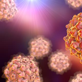 Le virus AAV a pour particularité d’avoir besoin d’un virus auxiliaire pour se répliquer. © Kateryna_Kon, Fotolia