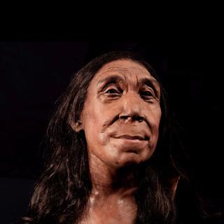 O rosto reconstruído de Shanidar Z. © BBC Studios, Jamie Simonds