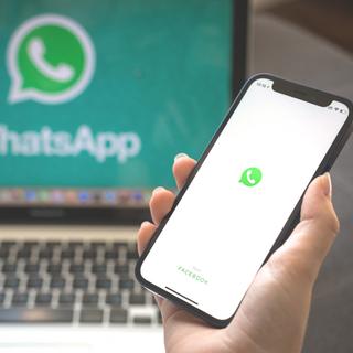 Application WhatsApp ©FellowNeko, Adobe Stock