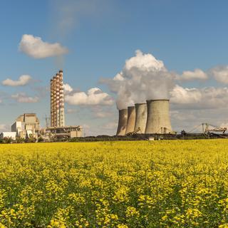 Le CO2 issu de la combustion des énergies fossiles a boosté la croissance des végétaux jusque dans les années 2000, mais c'st terminé. © John_Nature_Photos, Pixabay