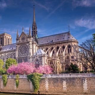 Depuis l'incendie de la cathédrale Notre-Dame, les scientifiques ont fait énormément de découvertes. ©&nbsp;Didier Laurent, Adobe Stock