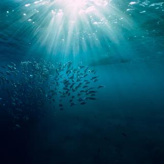 Les températures de l&#39;océan sont influencées par ses profondeurs. © artifirsov, Adobe Stock