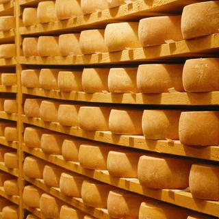 Certains chercheurs doutent des conclusions de la Penn State University. Selon eux, les traces de graisses retrouvées pourraient tout simplement correspondre à des résidus de viande. Le plus vieux morceau de fromage du monde reste celui retrouvé dans le fond d’une jarre d’un tombeau égyptien et datant de 3.200 ans.&nbsp;© Beatrice Prève, Fotolia