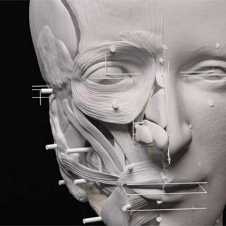 Reconstrução virtual do rosto de um indivíduo sepultado em La Almoloya e pertencente à cultura El Argar. ©Joana Bruno; Alguns; Universidade Autônoma de Barcelona. Todos os direitos reservados