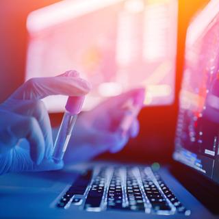 Le NeoCov n&#39;est pour le moment pas capable d&#39;infecter des cellules humaines. © Parilov, Adobe Stock