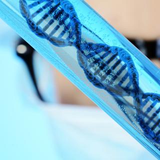 La thérapie génique consiste à insérer une copie saine d&#39;un gène défaillant dans un organisme malade. Elle peut sauver des vies. © Dan Race, Fotolia