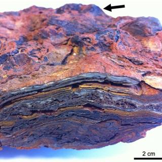 Estromatólitos encontrados no Cráton Pilbara e datados de 3,48 bilhões de anos. © Hickman-Lewis et al. 2022, Geologia