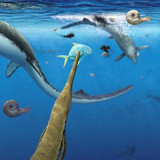 Les écosystèmes marins se seraient très vite reconstitués après l'extinction de masse du Permien-Trias. © Robert Back