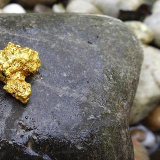 Linda pepita de ouro. ©Hans, Pixabay