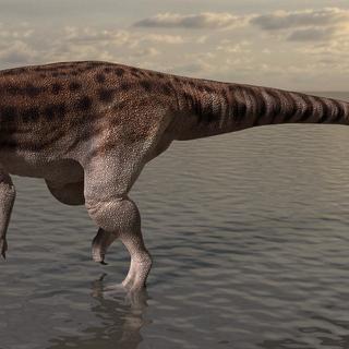 Ce petit&nbsp;dinosaure a laissé des empreintes dans la boue en bordure d'un milieu marin il y a 200 millions d'années. © University of Queensland