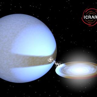 P3 é uma fonte de raios X ultraluminosa. Na verdade, é um buraco negro estelar que acumula matéria. Vemos nesta imagem sintética o seu disco de acreção, bem como a estrela gigante da qual arranca uma corrente de gás com as suas forças de maré. © Tom Russell (ICRAR), usando software criado por Rob Hynes (Louisiana State University)