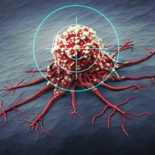 A nova quimioterapia testada tem como alvo um antígeno que parece causar aumento de erros de replicação do DNA nas células cancerígenas. © peterschreiber.media, Adobe Stock