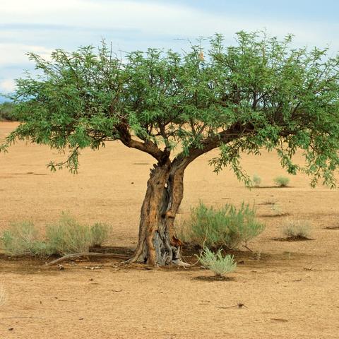 Définition | Mer des Caraïbes : qu'est-ce que c'est ? | Futura planète