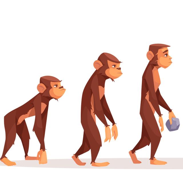 D&#39;après des chercheurs, l&#39;humain présente des traces génomiques de domestication. © Vectorpouch, Adobe Stock