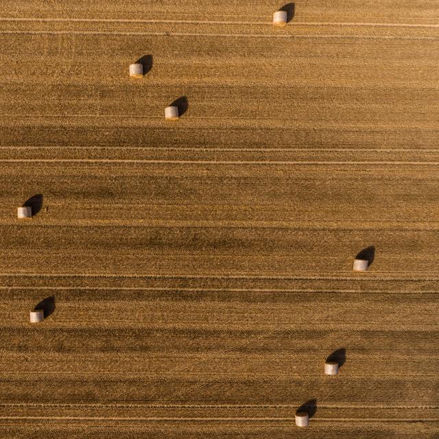 L’impact du réchauffement sur les dates des récoltes. © Jean Wimmerlin, Unsplash