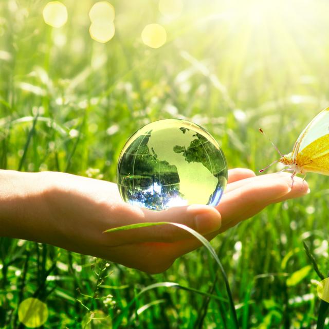 Pour la protection de la nature, il existe des métiers de l’environnement accessibles à tous. ©&amp;nbsp;US Navy, Wikimedia Commons, DP