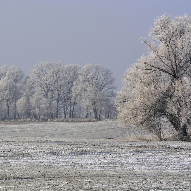 En période de grand froid, mieux vaut suivre quelques conseils pour limiter la consommation d&#39;énergie. © ezp, Fotolia
