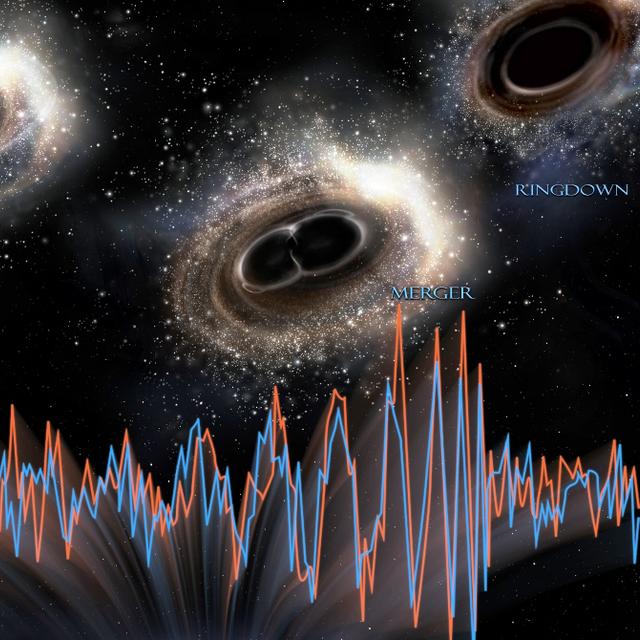 Inspiral, merger, ringdown : ce sont les noms anglais des trois étapes qui ont conduit deux trous noirs à se rapprocher en décrivant une spirale à la suite des pertes d&#39;énergies sous forme d&#39;ondes gravitationnelles, puis à entrer en collision pour finalement donner un seul trou noir. L&#39;horizon des évènements de l&#39;objet compact final a vibré, telle une cloche frappée, en émettant des ondes gravitationnelles. L&#39;évènement a duré moins d&#39;une seconde. Les courbes montrent les signaux détectés par les deux interféromètres Ligo, à Handford, et à Livingston, aux États-Unis, le 14 septembre 2015 et elles sont en correspondance avec la chronologie des évènements. © Ligo, NSF, Aurore Simonnet