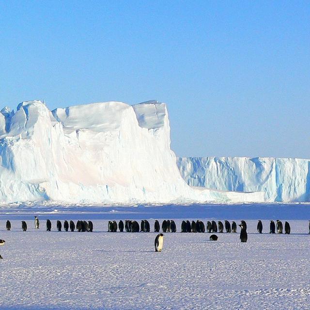 L’Antarctique méritera-t-il encore longtemps son surnom de continent blanc ? © MemoryCatcher, Pixabay, CC0 Public Domain