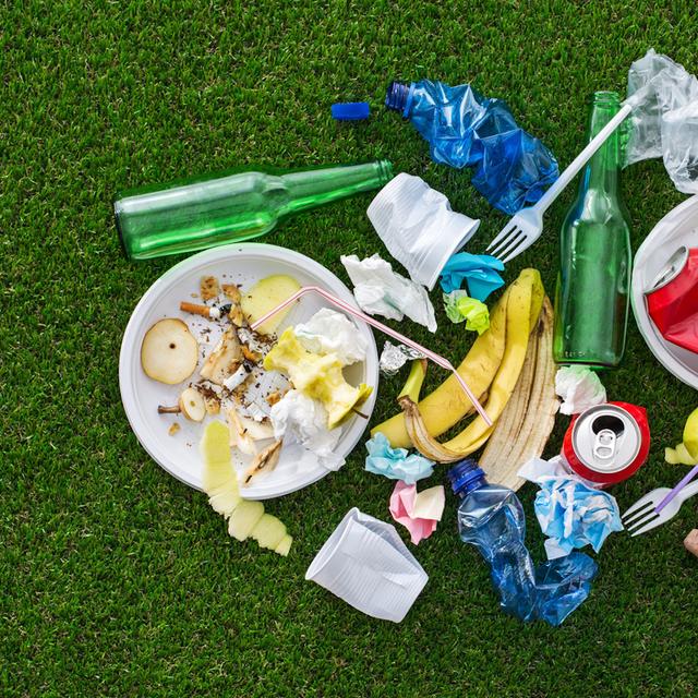 Parmi les déchets que l’on trouve dans une poubelle, certains sont biodégradables, d’autres compostables et d’autres enfin, recyclables. © StockPhotoPro, Fotolia