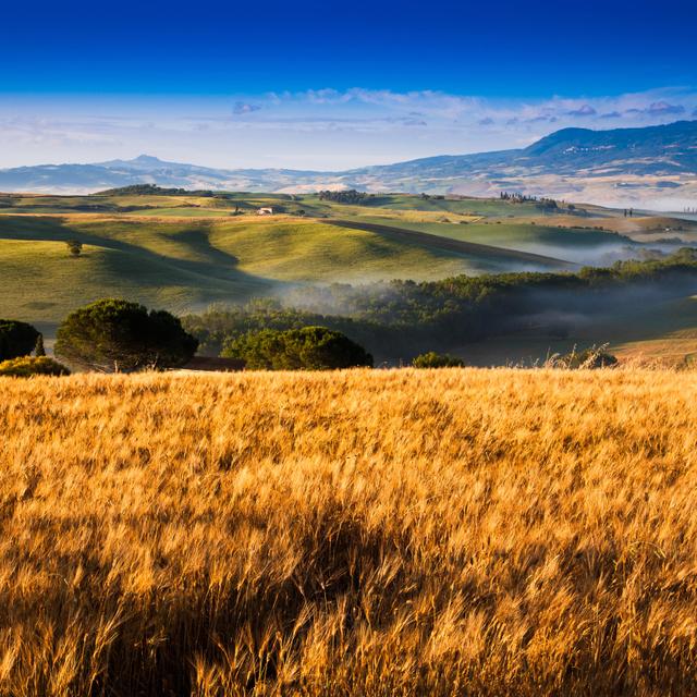 Le biochar, utilisé plus amplement, pourrait&amp;nbsp;réduire de façon significative l&#39;empreinte carbone de l&#39;agriculture.&amp;nbsp;©&amp;nbsp;fotoinfot, Adobe Stock