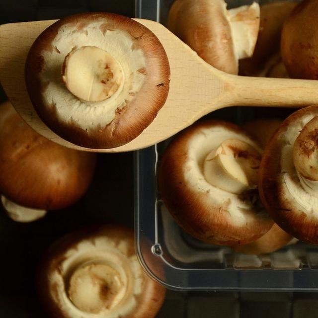 Pour conserver les qualités nutritionnelles des champignons, mieux vaut les griller, les cuire au four à micro-ondes ou les poêler. © congerdesign, Pixabay, DP