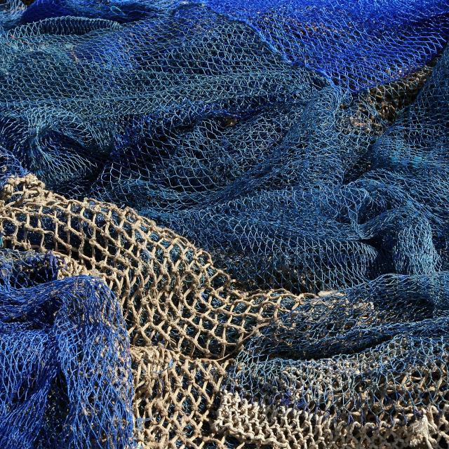 Plus de 600.000 tonnes de filets de pèche ne sont pas remontés par les bateaux, et ils emprisonnent des phoques, des tortues et des millions de poissons. ©&amp;nbsp;Kees Kortmulder, Pixabay