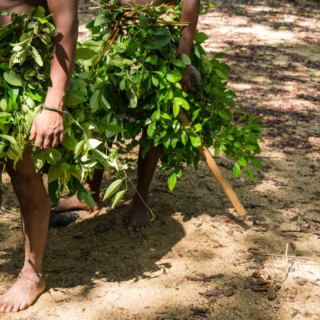 Les hommes préhistoriques en Asie du sud-est auraient fait preuve de créativité et d’innovation en fabriquant leurs outils en matière végétale au lieu de tailler la pierre. Il pourrait donc s’agir d’une civilisation du végétal. Ici, des chasseurs Vedda, peuple indigène du Sri Lanka. © greentellect, Fotolia