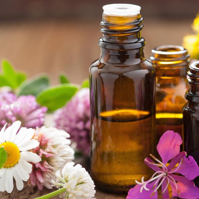 Antibiotiques l’huile essentielle de cannelle contre les bactéries — free download